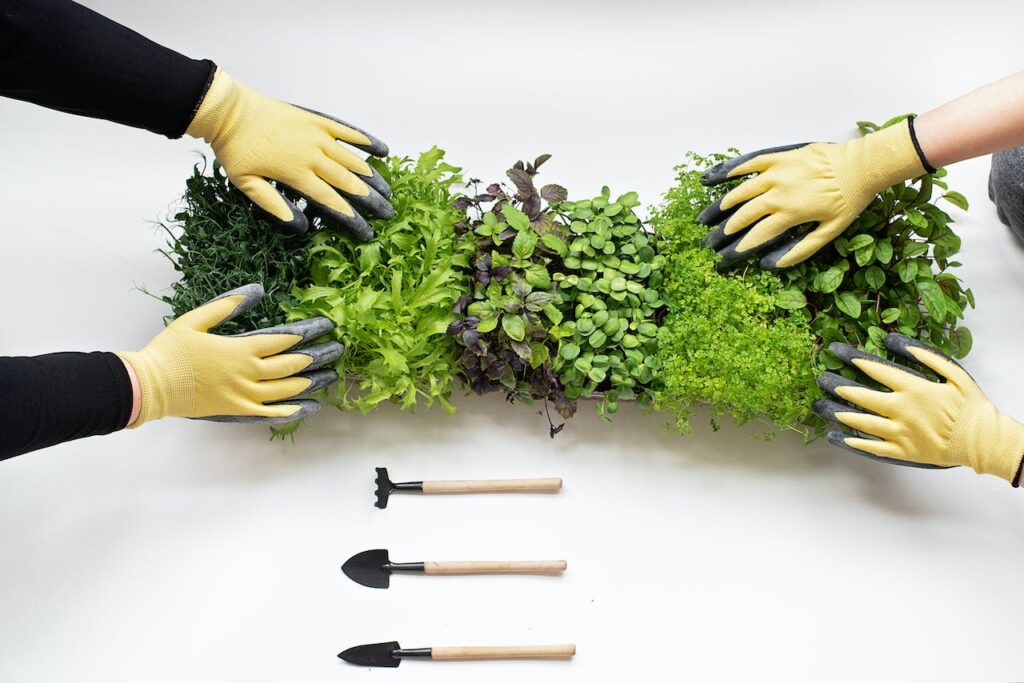 Unlocking Your Home Garden’s Potential: Why Soil Testing is Essential When Growing Your Own Food Unlocking Your Home Garden’s Potential: Why Soil Testing is Essential When Growing Your Own Food